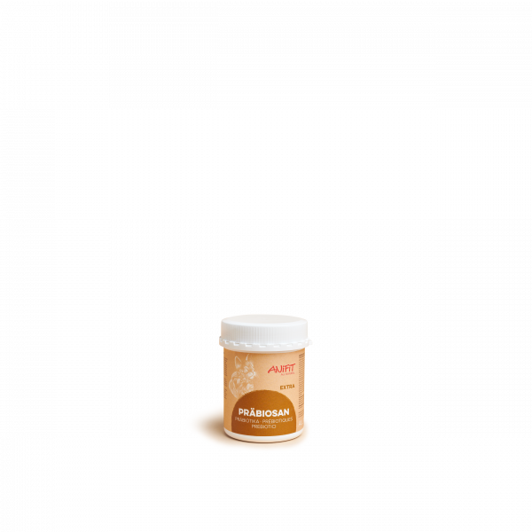 Präbiotika für Hunde und Katzen